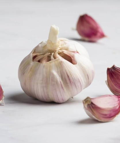 BULBI AGLIO ROSSO DA SEMINA - CONFEZIONE DA 500 GR - Origine: rosso francese - Calibro: 50/55