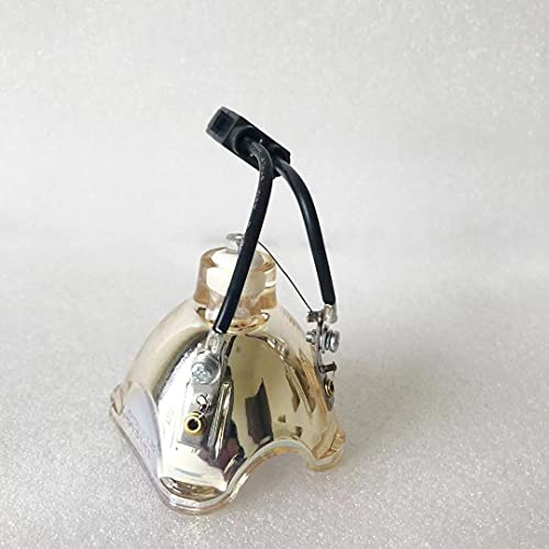PK-L2210U Proyector Bare Lamp Accesorios de Repuesto compatibles con JVC DLA-RS65 DLA-VS2100U DLA-X30 DLA-X30B DLA-X70 DLA-X90 DLA-RS55