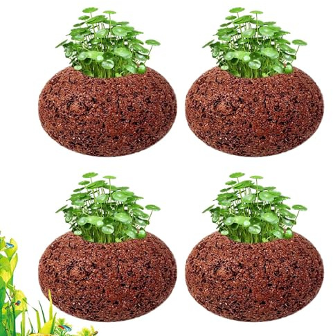 Macetas Para Plantas De Acuario Decoración De Oval De Piedra Volcánica