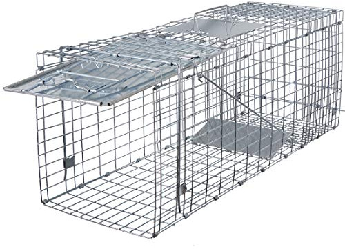ANT MARCH Live Animal Cage Trap 32''x11.5x13 Steel Humane Release Rodent Cage Iron Door for Rabbits, Stray Cat, Squirrel, Raccoon, Mole, Gopher, Opossum, Skunk, Chipmunks, Groundhog