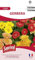 Sanrival Gerbera mélange de Fleuriste