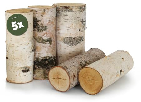Birkenstamm Bastelholz Ø 7 x 15 cm als Holz-Deko und Bastelmaterial - 5 Stk. Birke Naturmaterial Holz-Stämmchen als große Holzstäbe - Stehende Birken-Stämmchen für Wohnung Garten Basteln