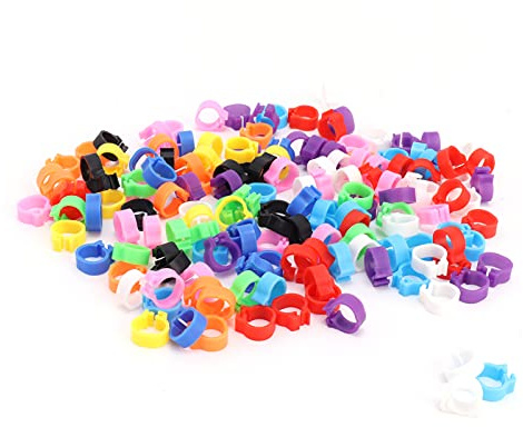 200PCS Pigeons Leg Rings Lightweight Compact Foot Bands Colorful Chicken Ankle Clips for Easy Identification