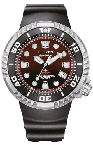 Citizen Promaster BN1024-01Z Uhr mit Eco-Antrieb