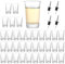 YAYODS 36 Stück Schnapsgläser 5cl Glas - Schnapsglas Spülmaschinenfest - Shot Gläser Wiederverwendbar mit 4 Stück Flaschenausgießer Edelstahl für Kräuterlikör, Bismarck, Wodka, Tequila