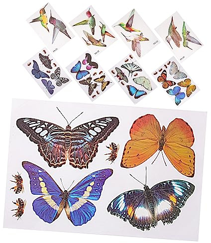 POPETPOP Calcomanías Estáticas para Ventanas de Vidrio Diseño de Colibrí y Mariposas, Adhesivo sin Pegamento, Protección para Aves y Decoración para Habitaciones