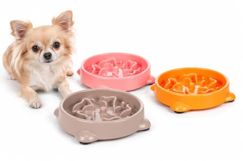 Flamingo Ciotola per Cani Anti Ingozzamento Bini 0.3L - 16x3,5cm - per cani di piccola taglia - Ciotola per alimentazione lenta - Favorisce un'alimentazione e una digestione lenta