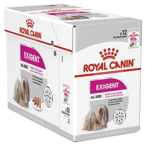 Royal CANIN Exigente Mousse | 12 x 85 g | Nourriture Humide pour Chiens Adultes à partir de 10 Mois | pour Chiens Difficiles | avec protéines de qualité supérieure