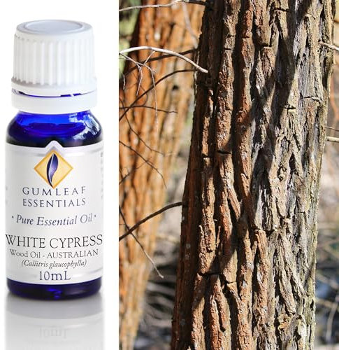 Gumleaf Essentials White Cypress Wood Essential Oil - 10ml, Cruelty Free & Vegan, 100% Pure & Natural