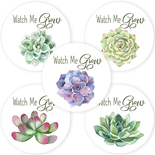 Succulent Watch Me Grow Stickers for Baby Shower Greenery Party by Adore By Nat - Favor Labels Decor - Set of 50