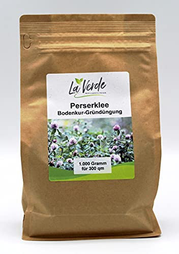 Perserklee 1000 Gramm Samen Bodenkur