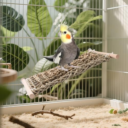 Perchoir échelle pour Cage à Oiseaux