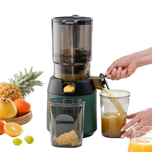 Cold Press Masticating Juicer, Professional Slow Juicer with 13cm Feeding Chute, Portable Fruit and Vegetable Juicer with