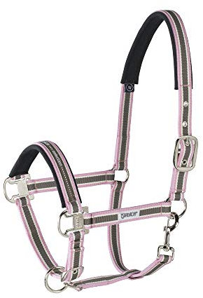 Standard Halfter PIN BUCKLE