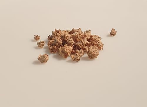 50 graines à semer - Le Grenier d'Abondance - POIREE Verte - Beta vulgaris cicla