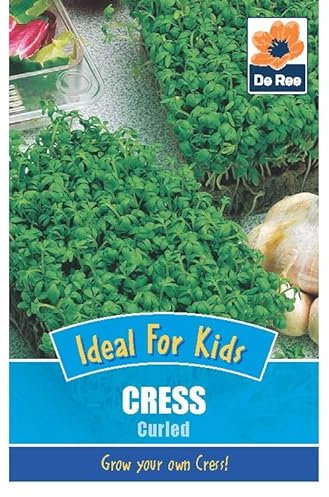 Vegetable Seeds for Growing Cress Curled Ideal for Kids 1150 Seeds Grow Your Own Garden Vegetable Salad Herb