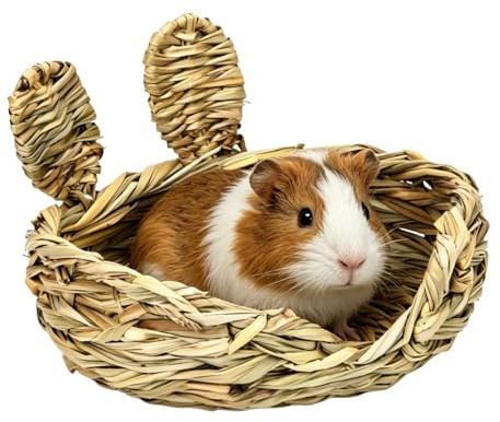 Generico In para conejitos | Alfombrillas de natural para descanso y masticación, conejito | Apto para todos los pequeños animales domésticos como hurones gerbiles jaulas conejeras hábitat y