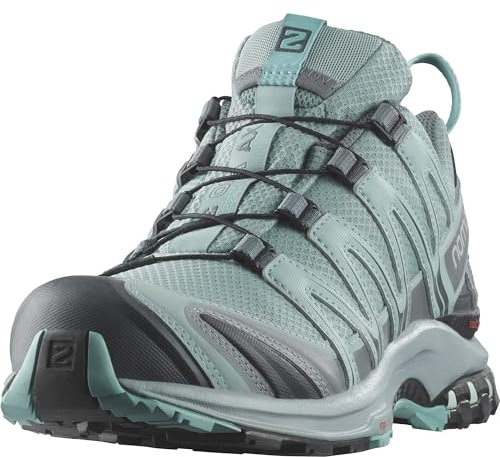 Salomon Damen Xa Pro 3d Gore-tex Traillaufschuhe, Lead Stormy Weather Meadowbrook, 40 2/3 EU