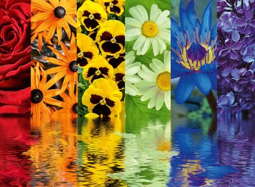 Ravensburger - Puzzle 1000 Pezzi Fiori Colorati | Puzzle 1000 Pezzi Per Adulti E Famiglie | Regalo Adulti | Regali Natale