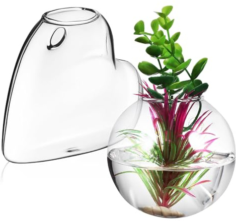 AKOOSY 2 pièces Lot de Vases Muraux Verre Borosilicate Transparent pour Plantes Suspendues Hydroponiques Supports Muraux Décoratifs pour Terrariums et Propagation Accessoires Inclus