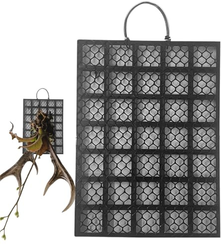 Flkiglm Staghorn Support Mural lointain – Support Vertical pour grimpantes orchidées platycérium | pour Balcon, terrasse, Salon, intérieur et extérieur
