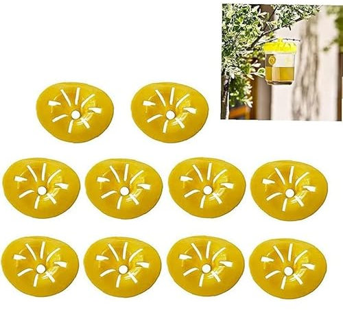 BEAUTYBIGBANG 10 trappole per vespe, trappole per api, calabroni, gialli, trappole nemiche, imbuto, mosche, calabroni, cattura insetti, allevamento di apicoltura
