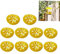 BEAUTYBIGBANG Lot de 10 pièges à guêpes pour abeilles, bouteilles, frelons, ennemis jaunes, entonnoir, attrape-mouches, abeilles, frelons et insectes, soin de l'apiculture
