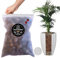 LiveLaif®- 1 L.Arcilla Expandida para Plantas |Grano 8-20mm-Sin Colorante| Arlita para Plantas | Leca Plantas | Piedras para Macetas | Piedras Drenaje Macetas | Bolas de Arcilla para Plantas