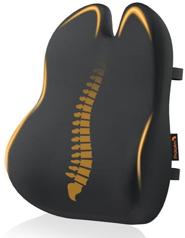 ProtoArc Almohada de Apoyo Lumbar para Silla de Oficina, Almohada de Espuma viscoelástica para la Espalda Baja, cojín Lumbar para Silla de Escritorio, Respaldo ergonómico para Silla - Negro