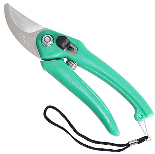 Madotree 8 Secateurs Pruning Shears,Professional Pruning Scissors Hand Garden Shears, for Trimming, Fruits, Flowers, Plants(Green)