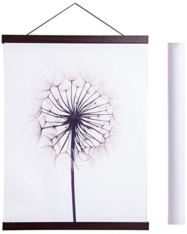Sanauto A2 magnetisk affischhängare ram, lätt träram hängare för foto picutre canvas konstverk konst stor storlek väggkarta tryck vägghängande (42 cm/16,5 tum, valnöt)
