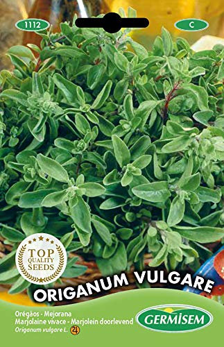 Germisem Majoran ORIGANUM VULGARE, mehrfarbig, EC1112