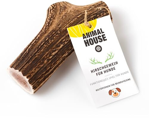 Animal House - Corna di Cervo per Cani Intere - Masticativo Naturale al 100% - Rafforza Igiene Orale - Resistenti e Duraturi - Disponibili in Tutte Le Taglie - Cruelty Free (XL)