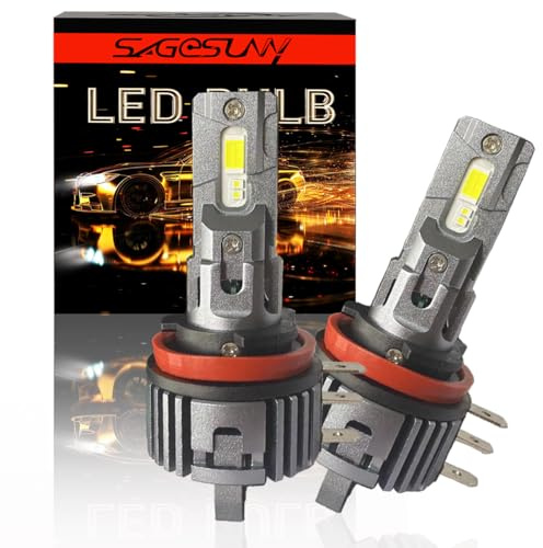 SageSunny Bombillas LED H15 sin errores, 300% más brillantes, luces de carretera y de circulación diurna LED H15, tamaño 1:1, perfectas para Golf 6, Golf 7 y Ford, paquete de 2, garantía de 2 años