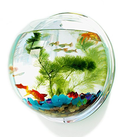 Mirror Back Acrylic Fish Bowl Wall Hanging Aquarium Tank Aquatic Pet Supplies Pet Products Wall Mount Fish Tank (diameter 29.5cm)