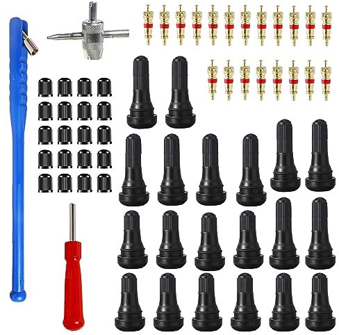HUAZIZ 63 Stücke Reifenventilentferner Reifenreparatur Ventilwerkzeuge Set 20xVentilkern20xReifenventilkappen 4 in1 Reparatur Werkzeug 1xEinkopf Ventil Entferner 1xVentileinziehhebel 10xTR412