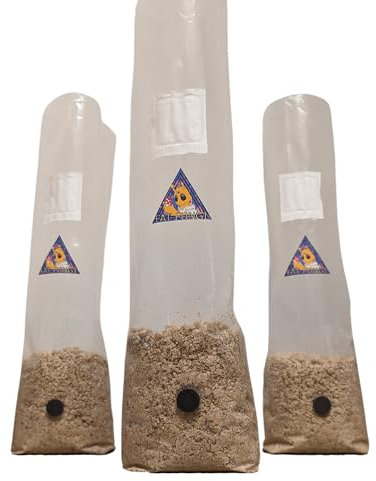 PF Tek Bag Easy Mushroom Grow Kit - Just Add Spores! Like Magic - Self Healing Injection Port - Inject and Forget!
