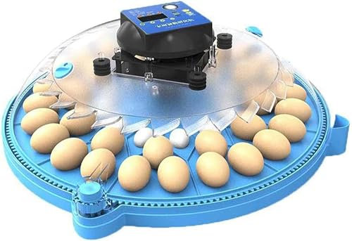 OZBMA Incubatrici per Uova, Incubatrice Rotonda per Uccelli da Cortile, Incubatrice con Schermo Digitale e Controllo Automatico della Temperatura, per incubare quaglie, Colombe, oche e Pulcini