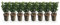 GreenboutiQ - Plantes de haie - Euonymus japonica Green Spire - feuillage vert - 8 plantes - 1 mètre linéaire - persistant - pot 9cm hauteur 20-25cm