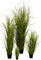 Klocke Kunstpflanzen Hochwertiges & Künstliches Gras/Dekogras im Topf - Wunderschön & Naturgetreu - Grasarrangement/Gras Arrangement/Grasbüschel/Grasbündel (Groß: 150cm)