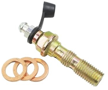 HGCXBYAP Bulloni freno per motocicletta M10 x 1,25, viti per tubo freno, bulloni banjo, viti universali per pinza freno e frizione, pompa a pedale(Two hole)