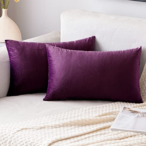 EMEMA Samt Kissenbezug Kissenhülle Dekorative Dekokissen Sofakissen Lendenkissen Wurfkissenbezug mit Verstecktem Reißverschluss Schlafzimmer Sofa 2er Set 30x50 cm Aubergine Lila