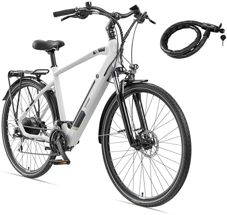 TELEFUNKEN E-Bike Herren Elektrofahrrad Alu 28 Zoll mit 24-Gang Kettenschaltung, Pedelec Trekkingrad mit Hinterrad-Motor 250W 11,6 Ah, 36V Akku, XC941 Expedition