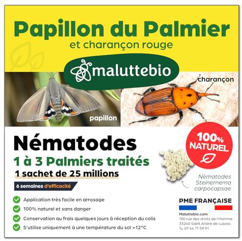 Nématodes contre le Papillon du palmier et le Charançon Rouge - Nematodes Palmier - Pour traiter 1 à 3 palmiers
