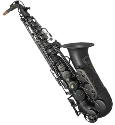 Professionell Saxofon Professionell Mattsvart Altsaxofon Med Fodral