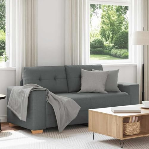 Iiaky Divano a 2 Posti con Braccioli Divano 2 posti in Tessuto Divanetto da Salotto Piccolo Divano per Soggiorno, Ufficio, Appartamento-Grigio scuro-140 cm