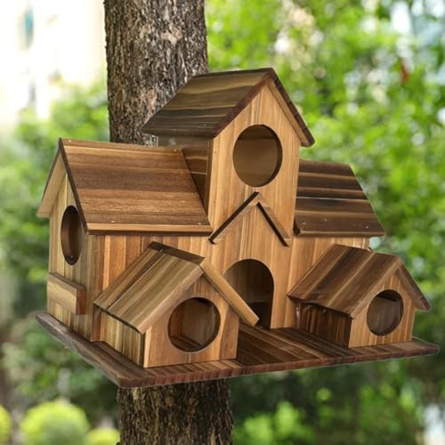 Nichoir d'extérieur en bois pour perroquets, colibris et petits oiseaux – Nichoir rustique de style villa avec toit incliné, 20 x 13 x 15 cm, construction en bois massif