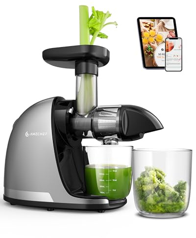 AMZCHEF Juicepress Slow Juicer grönsaker och frukt – testvinnare juicepress elektrisk med bakåtvänd tuggfunktion – delikat krossning, lätt att rengöra med borste och 2 koppar – silver