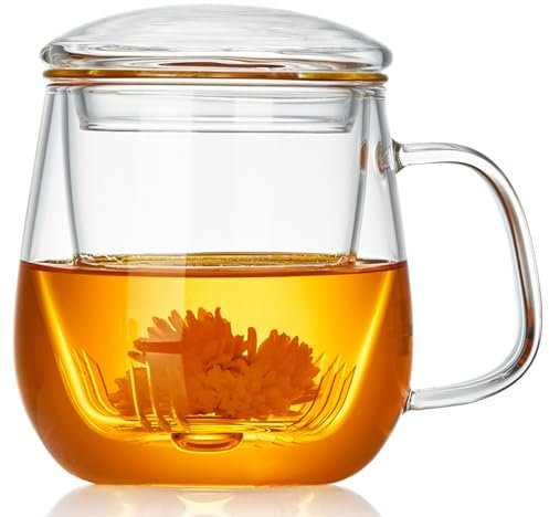 MEISINNI Taza de Té, 500 ml Taza Infusiones con Tapa y Filtro, Taza Transparente de Vidrio, Vaso para Té en Hojas y Flores, Compatible con Cocina de Gas