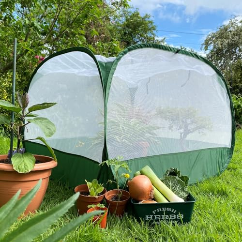 Insect Mesh Fruit Cage Cloche for Growing Vegetables | Pop Up Garden Netting Greenhouse Plant Cover for Veg Patch Crop Protection Raised Beds Planters Allotment (1x1x0.75m H, Pk 1)